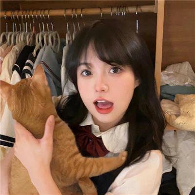 熊出没·狂野大陆