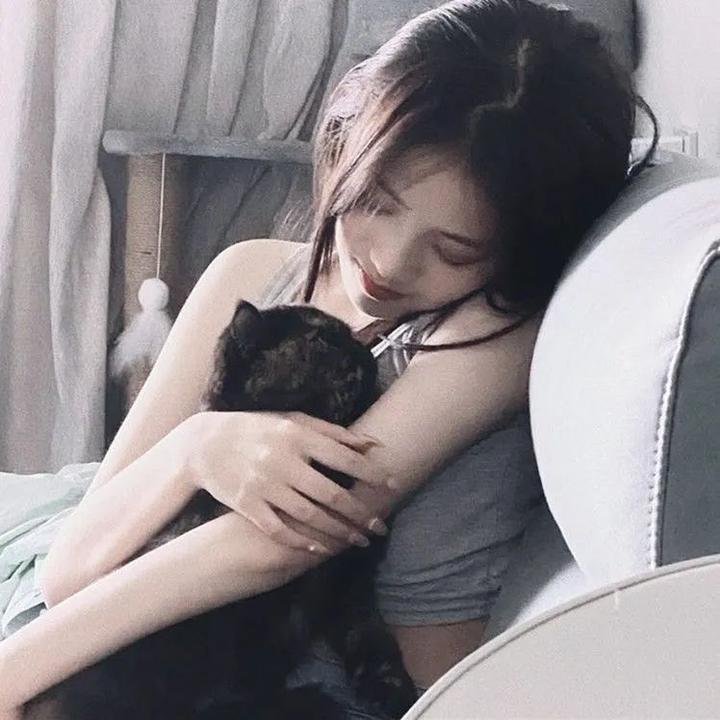 狗狗史酷比